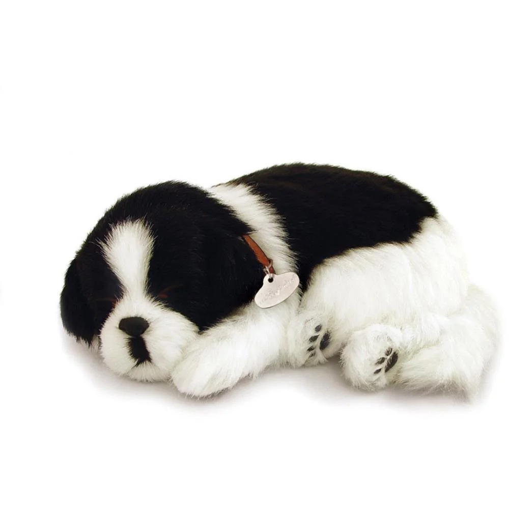 Perfect Petzzz Filhote Cachorro Border Collie Imex