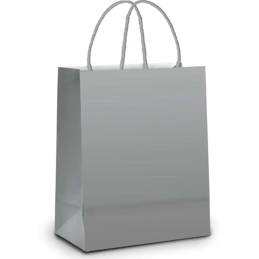 Sacola Para Presente Lisa Prata M 26X19,5X9,5Cm Cromus (Pct.c/10)