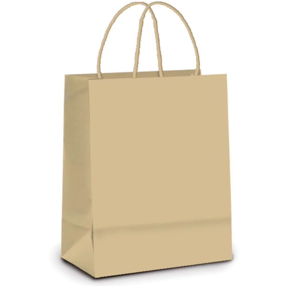 Sacola Para Presente Kraft G 32X26,5X13Cm Packpel (Pct.c/10)