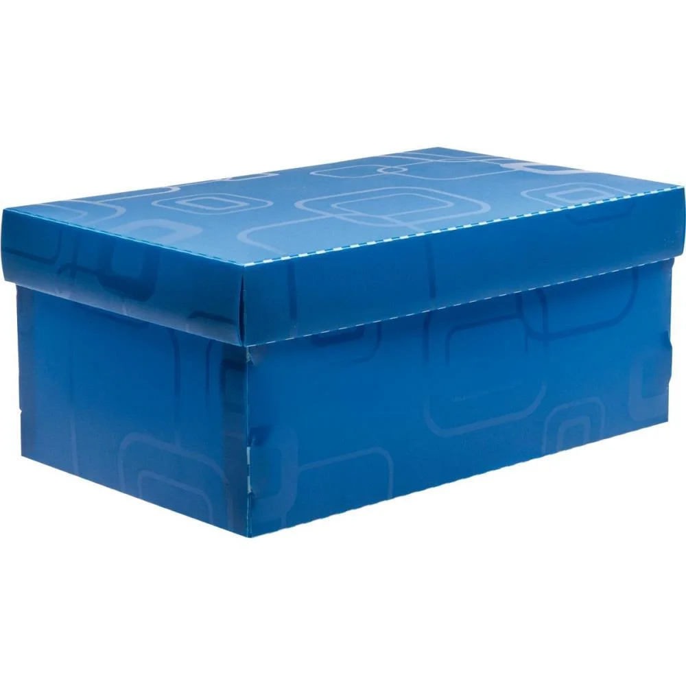 Caixa Organizadora Top Line Sapato 28X17X12Cm.az Dello