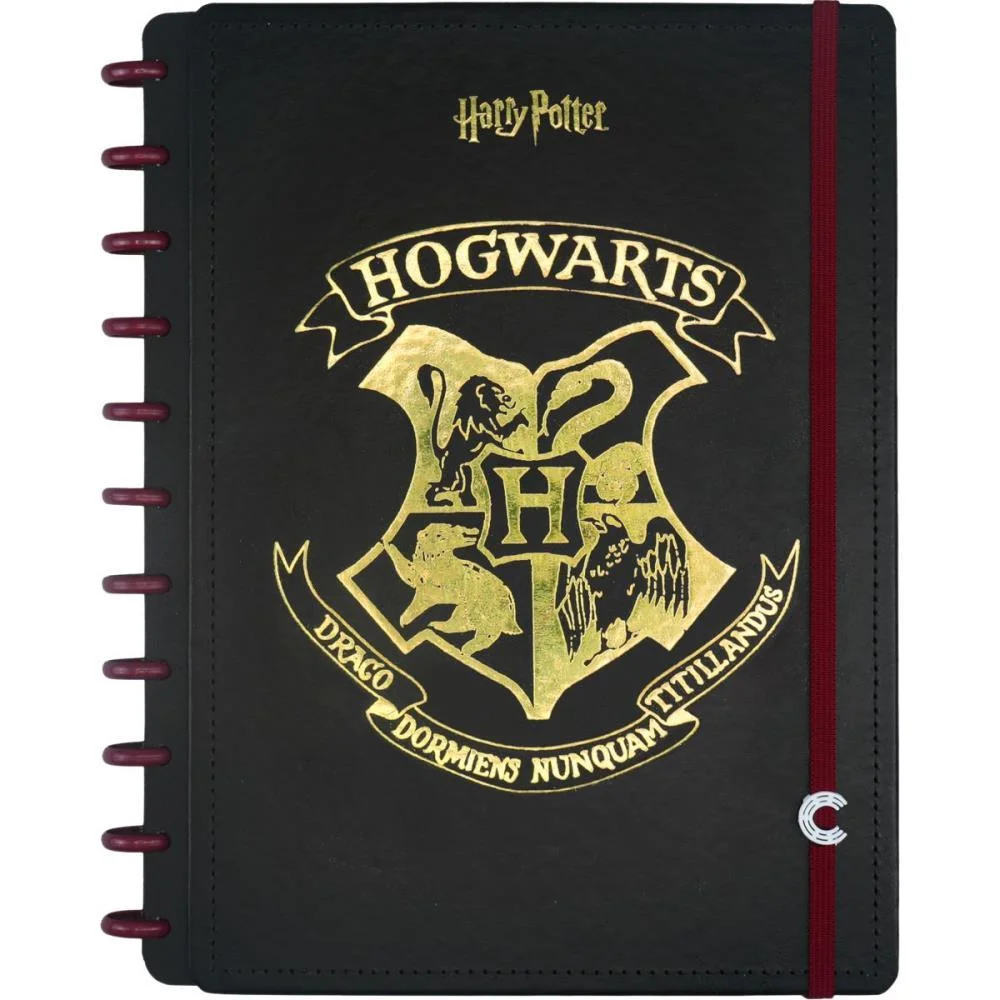 Caderno Inteligente Grande Harry Potter 80Fls 215X280Mm Caderno Inteligente - imagem 3