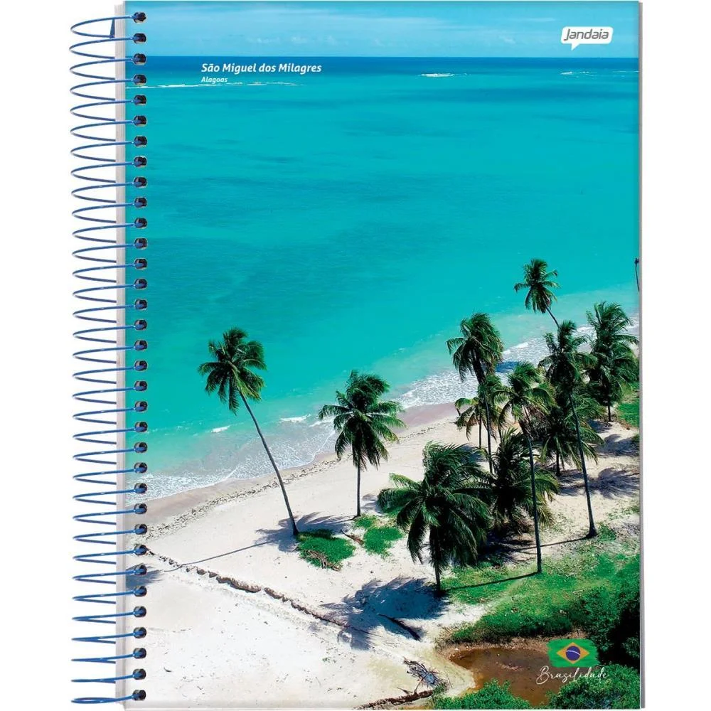 Caderno Espiral Pequeno Capa Dura Brasilidade 200Fls Jandaia (Pct.c/05) - imagem 3