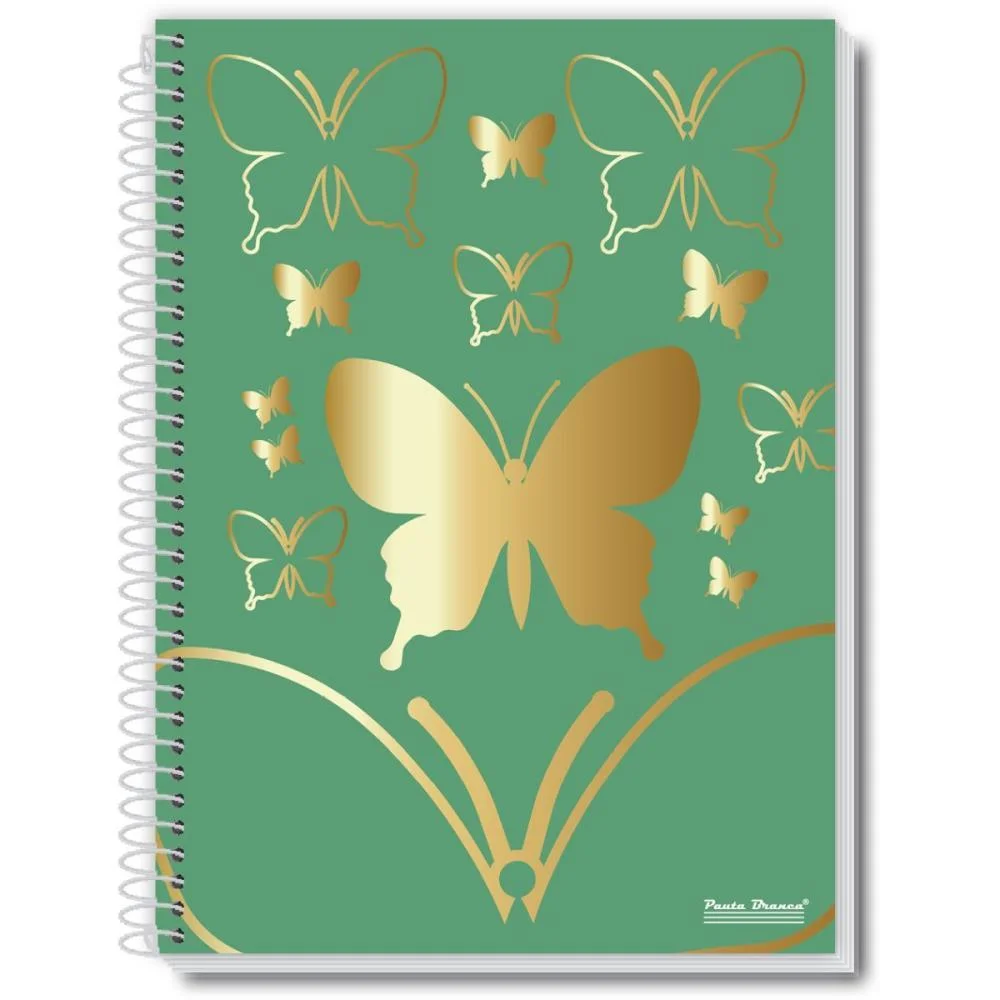 Caderno 10X1 Capa Dura Fly 160Fls. Pauta Branca (Pct.c/02) - imagem 2