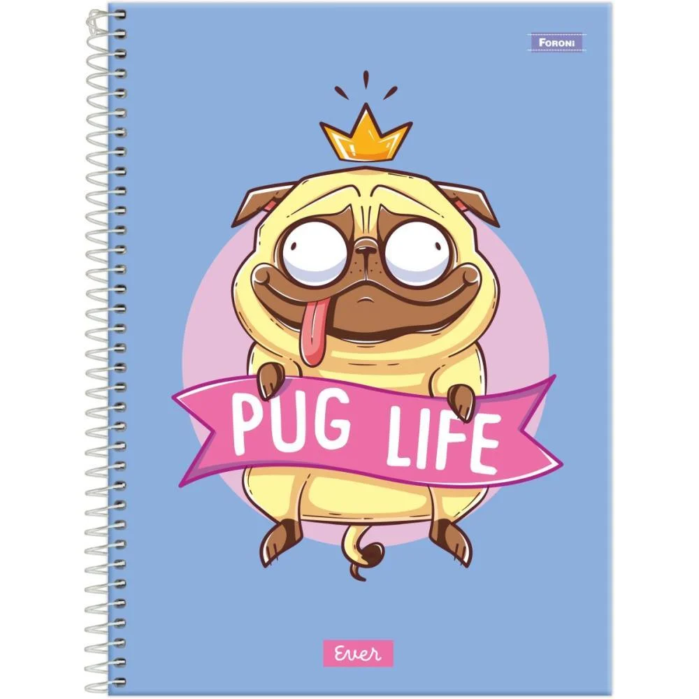 Caderno 10X1 Capa Dura Ever 160F Foroni (Pct.c/04) - imagem 6