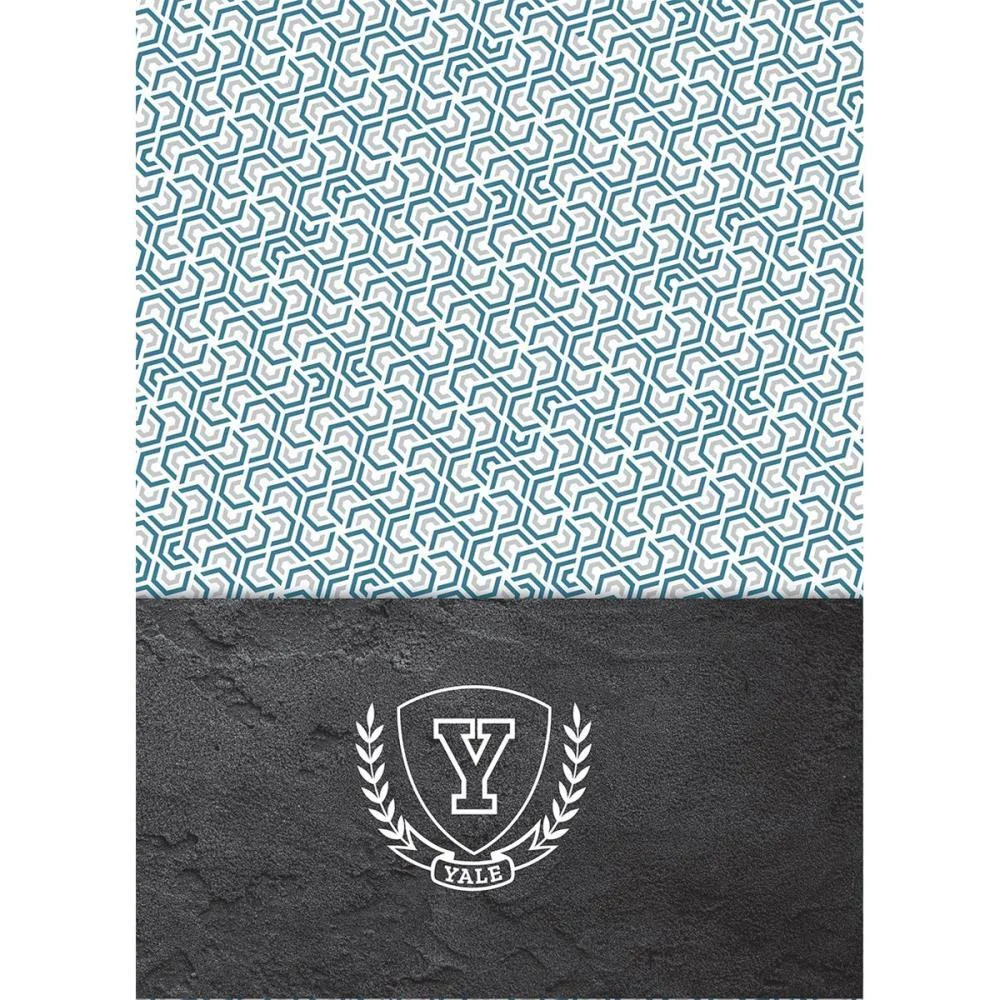 Caderno Espiral Pequeno Capa Dura Yale 80Fls. Jandaia (Pct.c/05) - imagem 9
