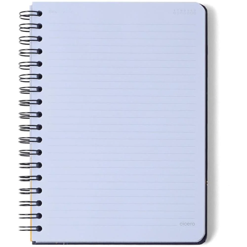 Caderno 10X1 Cp.dura Colegial Melissa Casinha Abelhas 160F Cicero - imagem 4