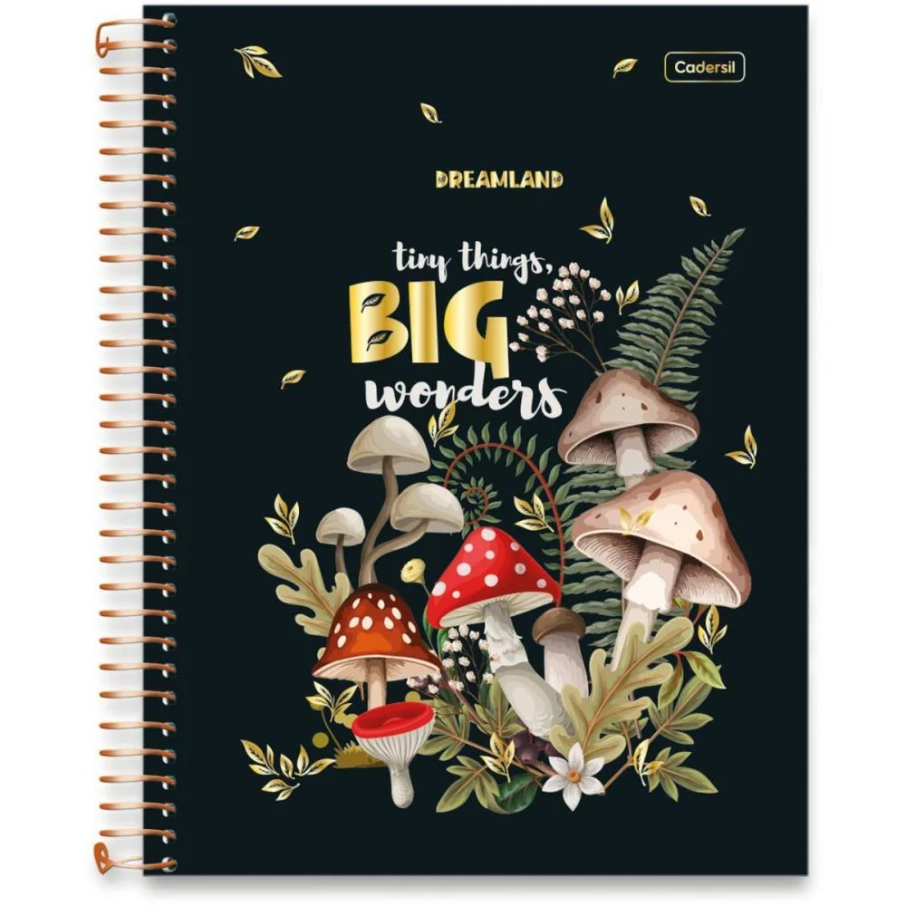 Caderno 10X1 Capa Dura Dreamland Metalizado 160Fls Cadersil (Pct.c/04) - imagem 4