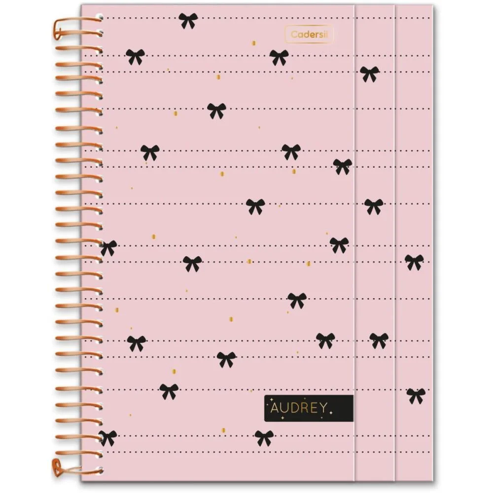 Caderno 01X1 Cp.dura Colegial Audrey 3Em1- 100Fls (S) Cadersil - imagem 3