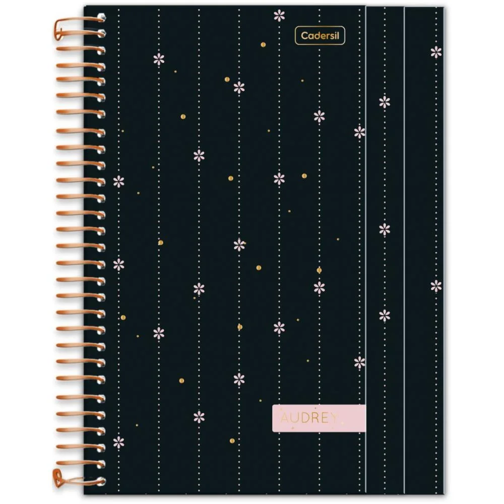 Caderno 01X1 Cp.dura Colegial Audrey 3Em1- 100Fls (S) Cadersil - imagem 4