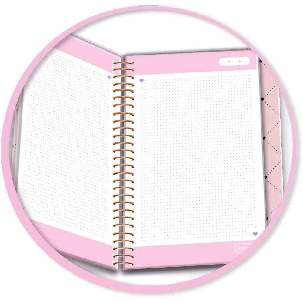 Caderno 01X1 Cp.dura Colegial Audrey 3Em1- 100Fls (S) Cadersil - imagem 6