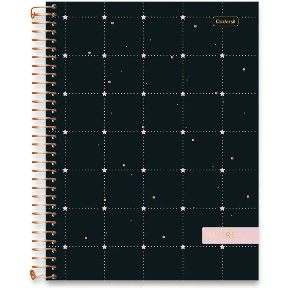 Caderno 10X1 Capa Dura Audrey 160Fls Cadersil (Pct.c/04) - imagem 11