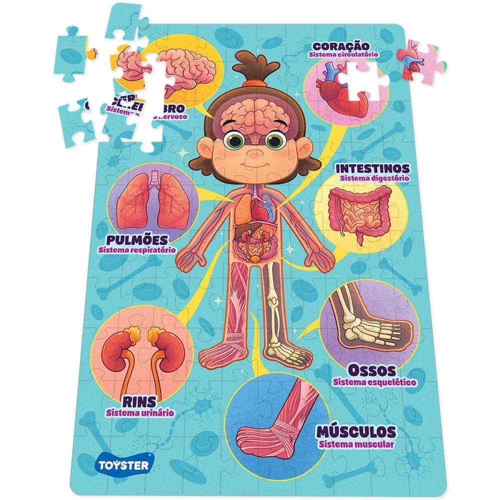 Quebra-Cabeca Cartonado Corpo Humano 100 Pecas Toyster - imagem 4