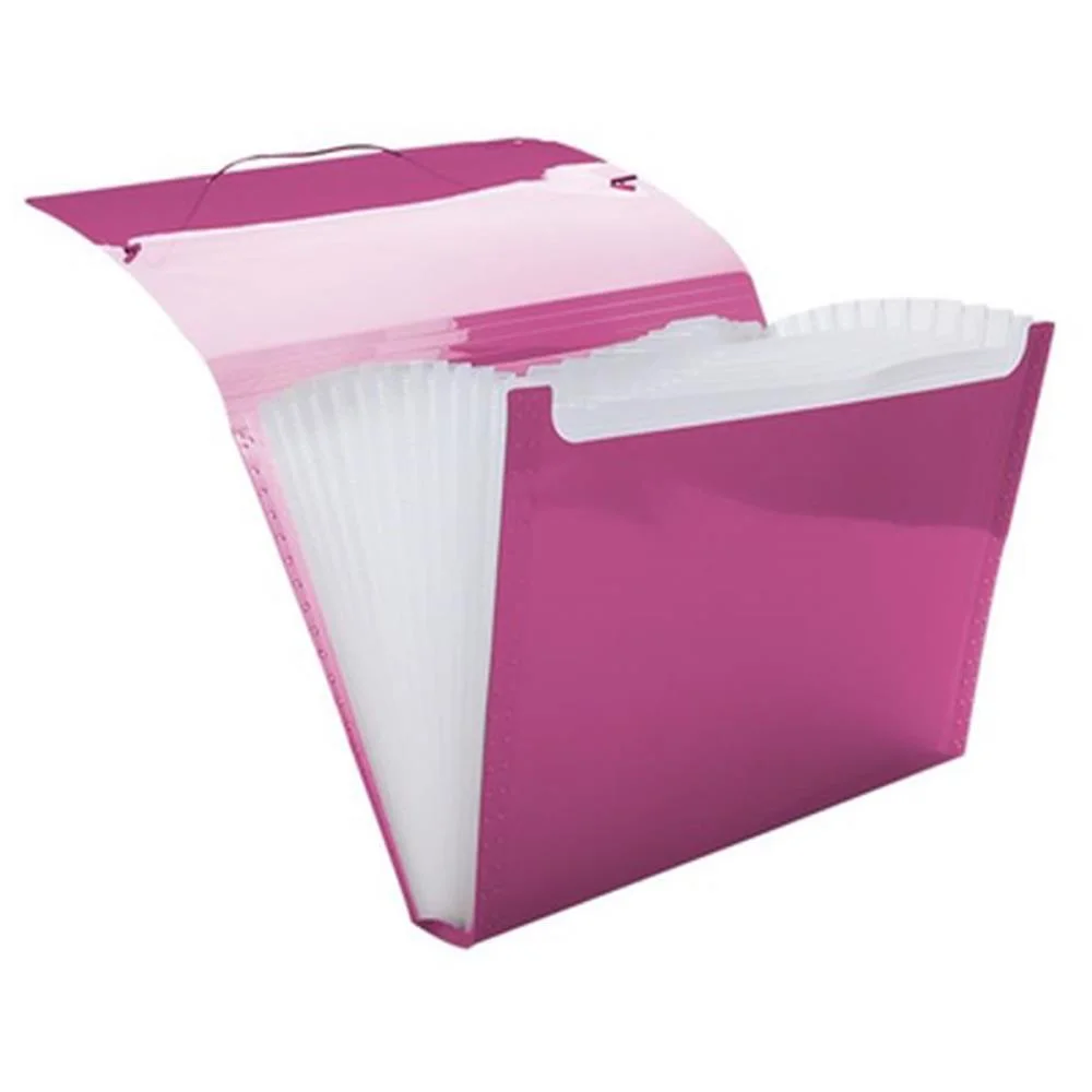 Pasta Sanfonada Plastica A4 12 Divisoes Pink Line Dello - imagem 4