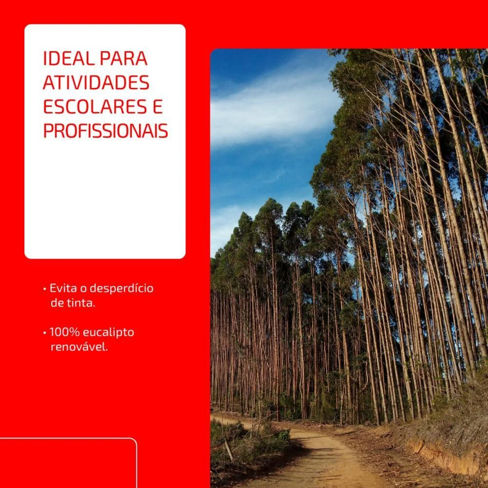 Papel Sulfite A4 Chamex 75G 10 Pctx500 Fls Chamex (Caixa) - imagem 6