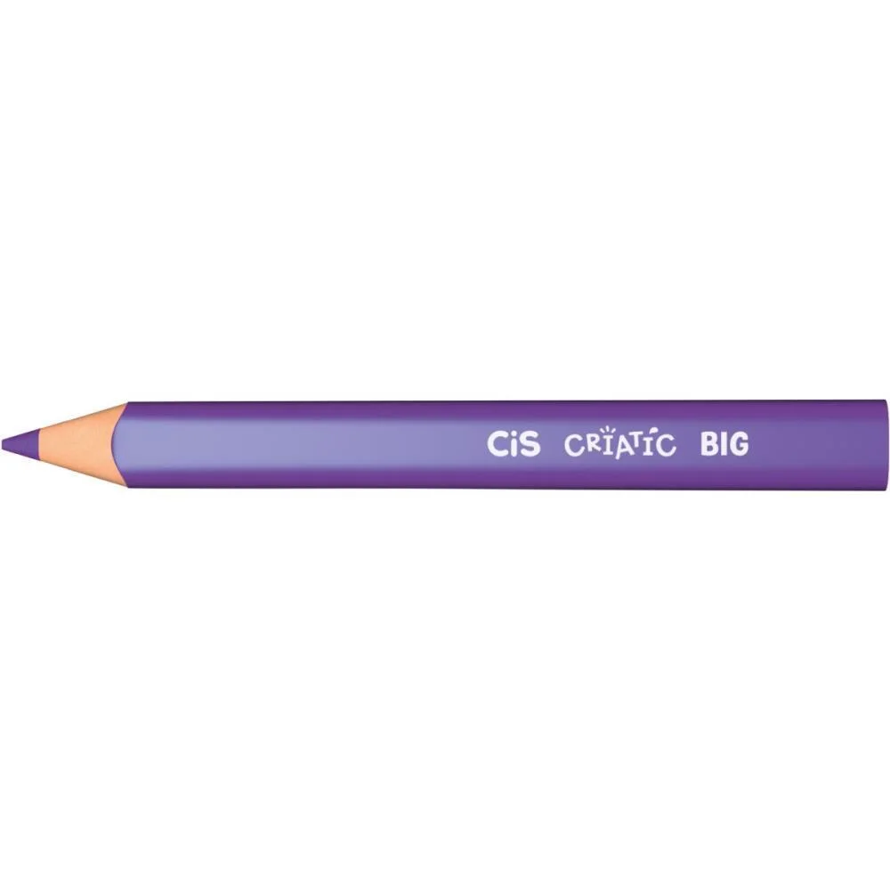 Lapis De Cor Jumbo Cis Criatic Triangular 12 Core Sertic (Estojo) - imagem 3