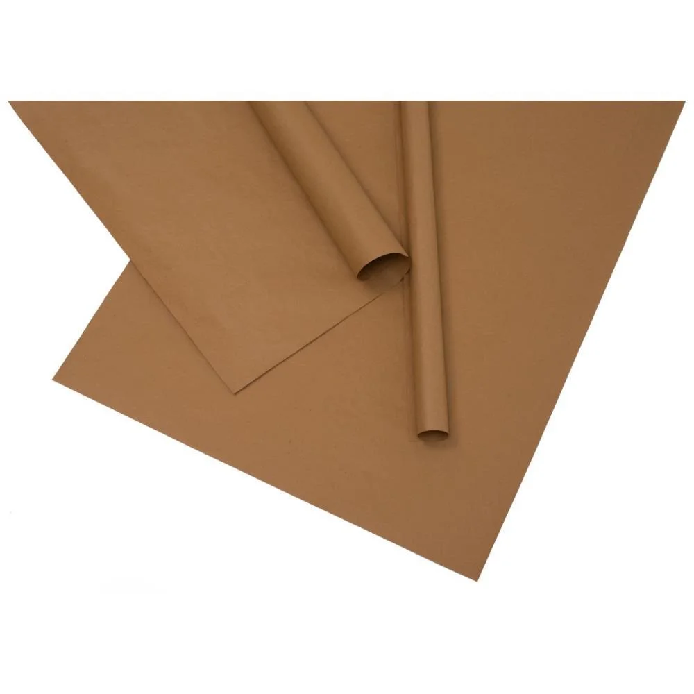 Papel Kraft Folha 66X96Cm 60G Natural Reipel (Pct.c/250) - imagem 2