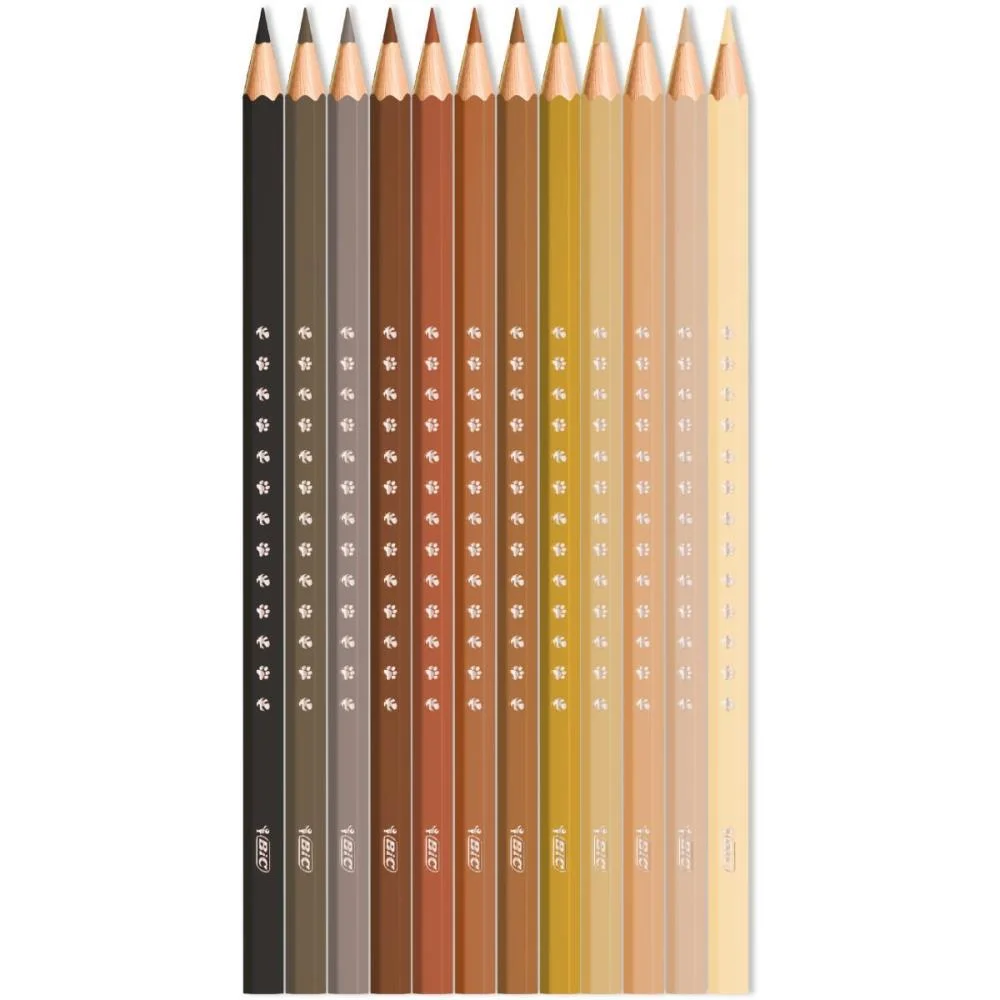 Lapis De Cor Sextavado Bic Kids Tons De Pele 12 Cor. Bic (Pct.c/06) - imagem 3