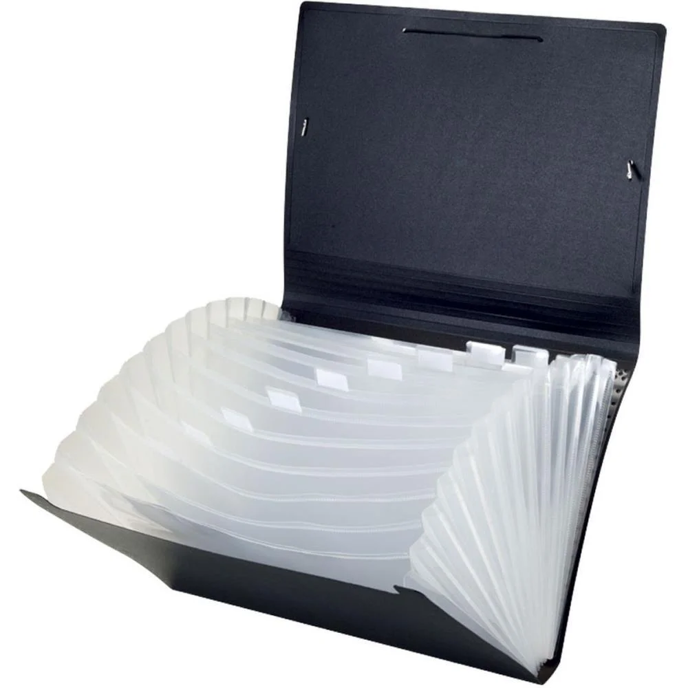 Pasta Sanfonada Plastica A4 12 Divisoes Black Acp - imagem 2