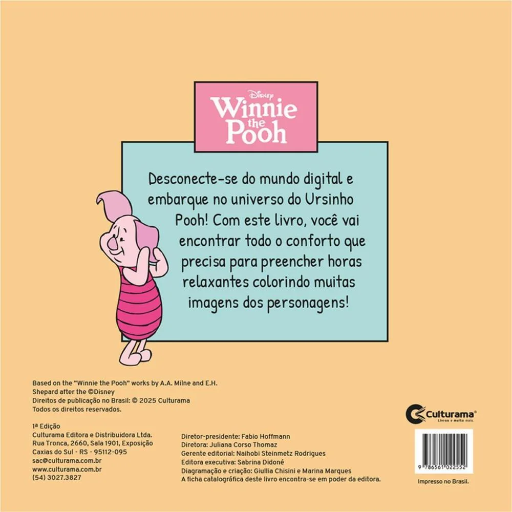Livro De Colorir Pooh Comfy Relax 24Pgs 21X21Cm Culturama - imagem 4