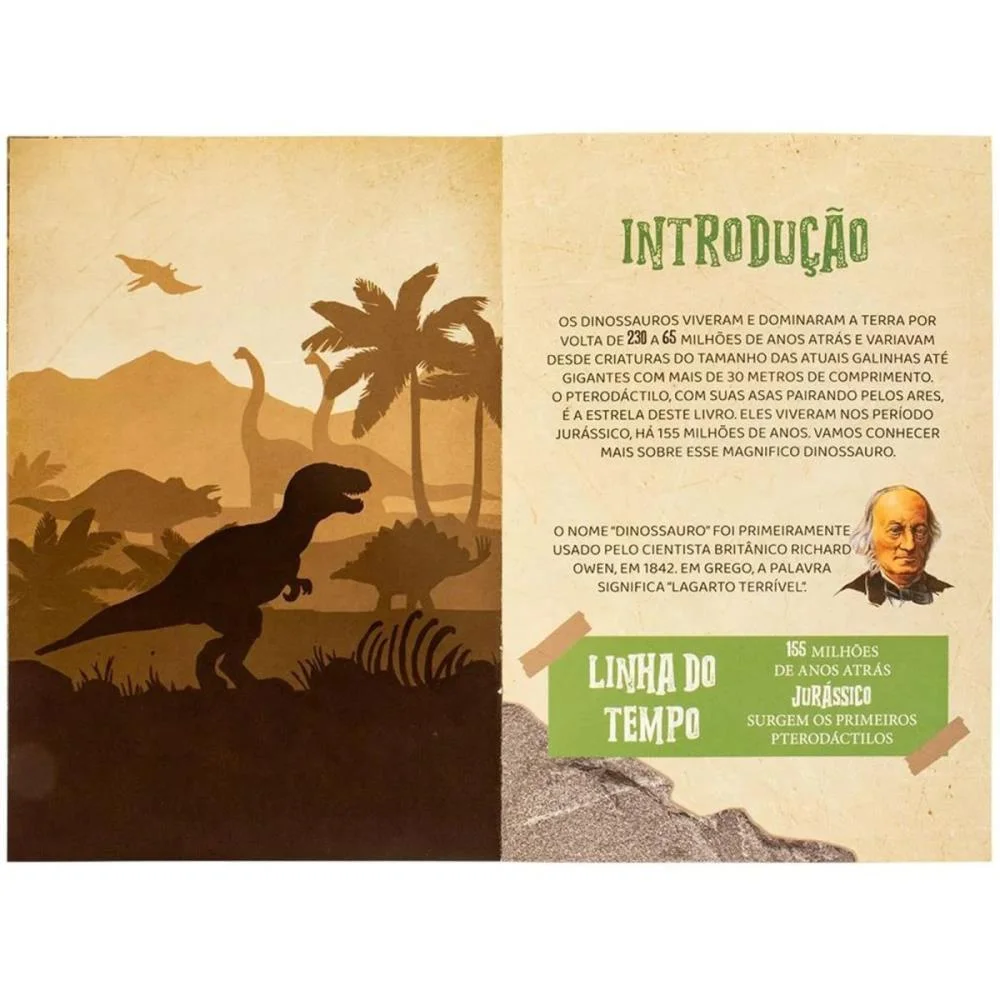 Livro Brinquedo Ilustrado Mundo Dos Minidinos:pterodacti Todolivro - imagem 3