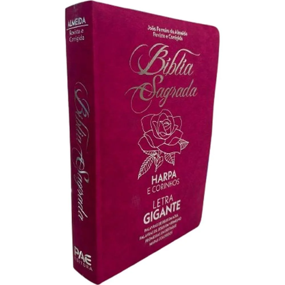 Livro De Leitura Biblia Sagrada Letras Gd.832Pg Pae Editora - imagem 3