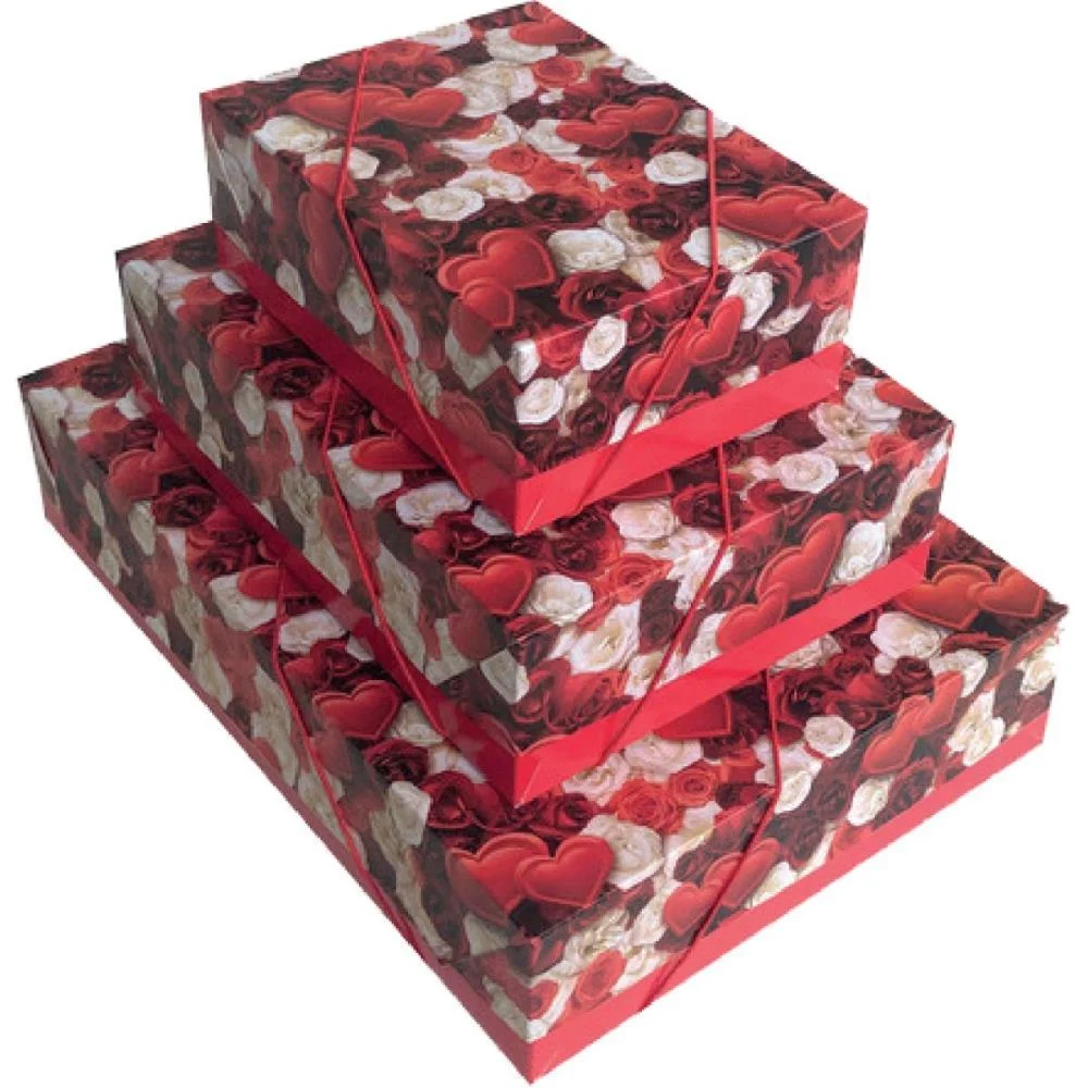 Caixa Para Presente Com Tampa Md 19X26X7,5 Elast. Estampad Cristina (Pct.c/16) - imagem 4