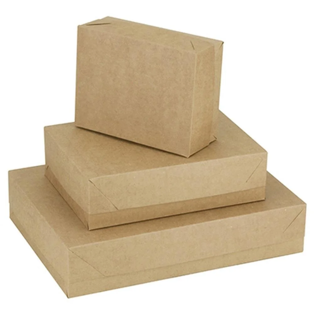 Caixa Para Presente Com Tampa Kraft Md 26X19X7,5 Cristina (Pct.c/10) - imagem 3