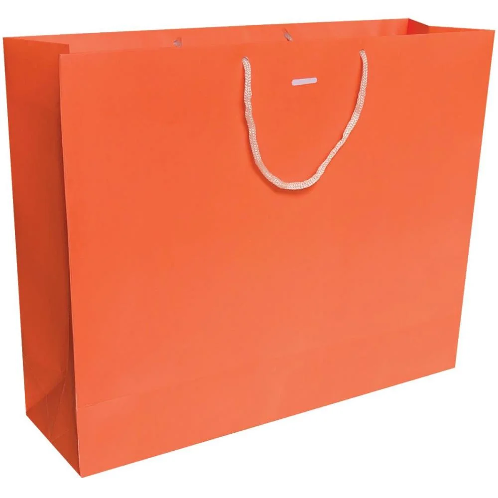 Sacola Para Presente Lisa Cores Vivas G 32X40X12 Horizon Cristina (Pct.c/10) - imagem 2