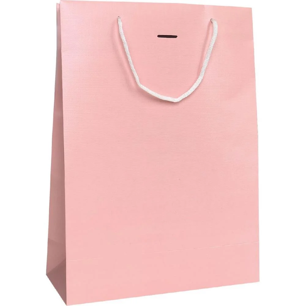 Sacola Para Presente Lisa Fashion M 27X21X10 Text. (S) Cristina (Pct.c/10) - imagem 4