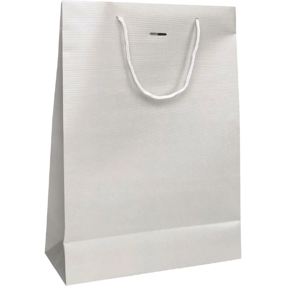 Sacola Para Presente Lisa Fashion M 27X21X10 Text. (S) Cristina (Pct.c/10) - imagem 5