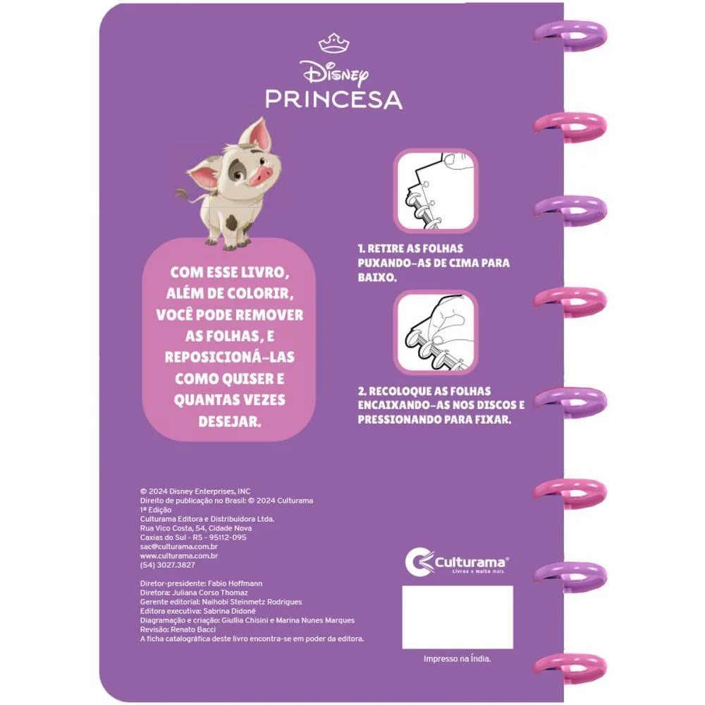 Livro Infantil Colorir Ler E Colorir Disco Princesas Culturama (Unidade) - imagem 4