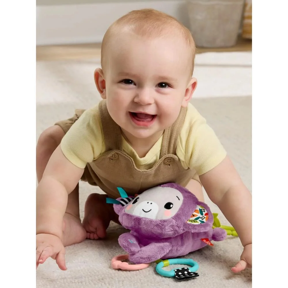 Fisher-Price Newborn Toys Macaquinho Musical C/Sons Mattel - imagem 7