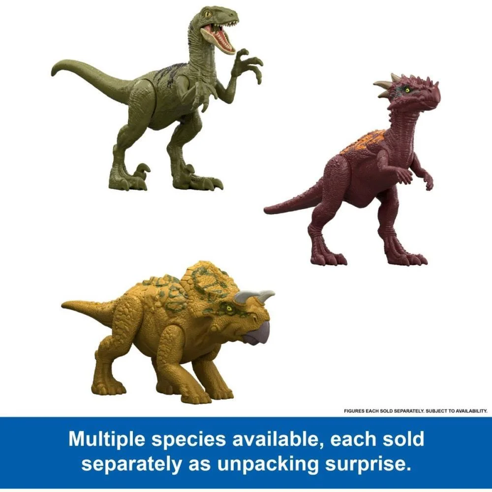Boneco E Personagem Jw Dino Reveal Sort.1 (S) Mattel - imagem 5