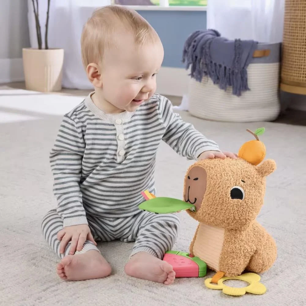 Fisher-Price Newborn Toys Capivara Divertida Mattel - imagem 4