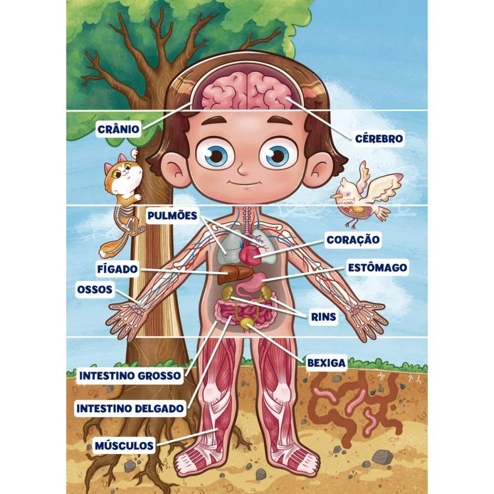 Quebra-Cabeca Cartonado Corpo Humano 100 Pecas Grow - imagem 4
