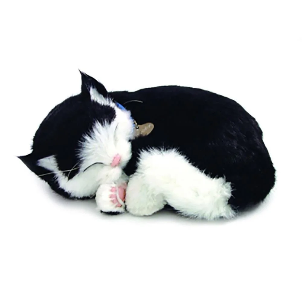 Perfect Petzzz Filhote Gato Black E White Shorthair Imex - imagem 2