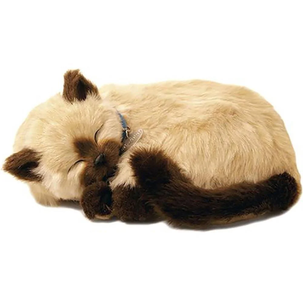 Perfect Petzzz Filhote Gato Siames Caramelo Imex - imagem 3