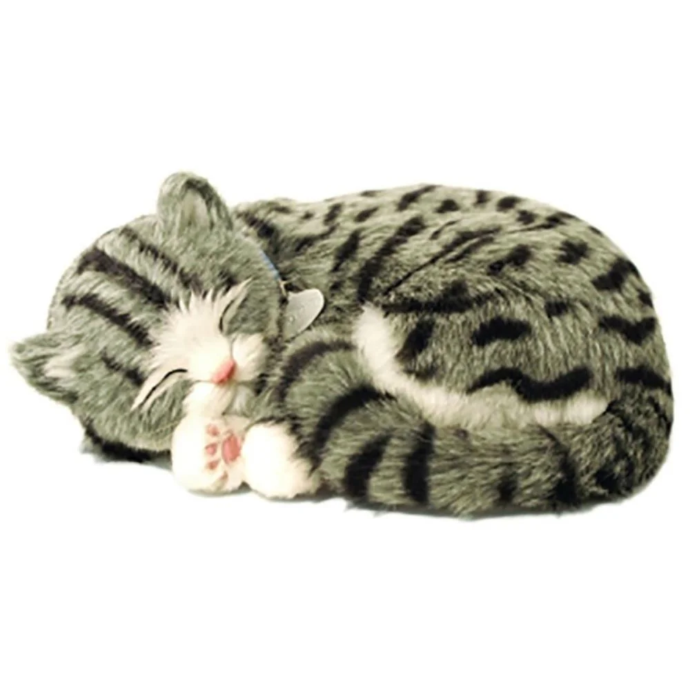 Perfect Petzzz Filhote Gato Gray Tabby Imex - imagem 3