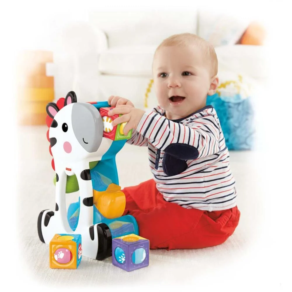 Fisher-Price Infant Zebra Blocos Surpresa Mattel - imagem 8