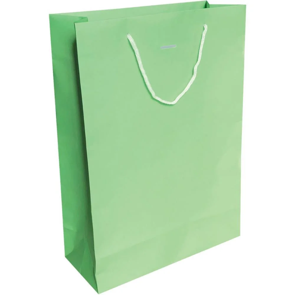 Sacola Para Presente Lisa Cores Vivas G 40X29X12 (S) Cristina (Pct.c/10) - imagem 3
