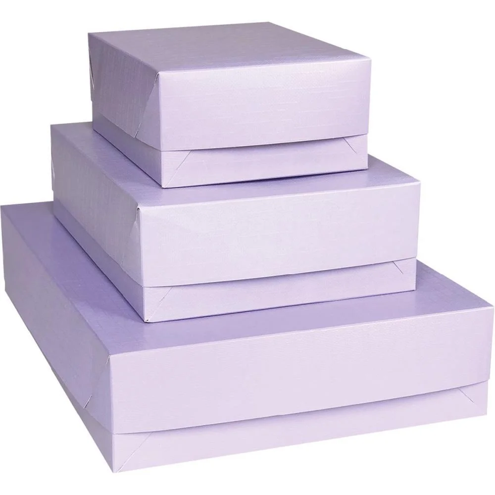 Caixa Para Presente Com Tampa Fashion Md 26X19,5X7,5 Sortido Cristina (Pct.c/16) - imagem 3