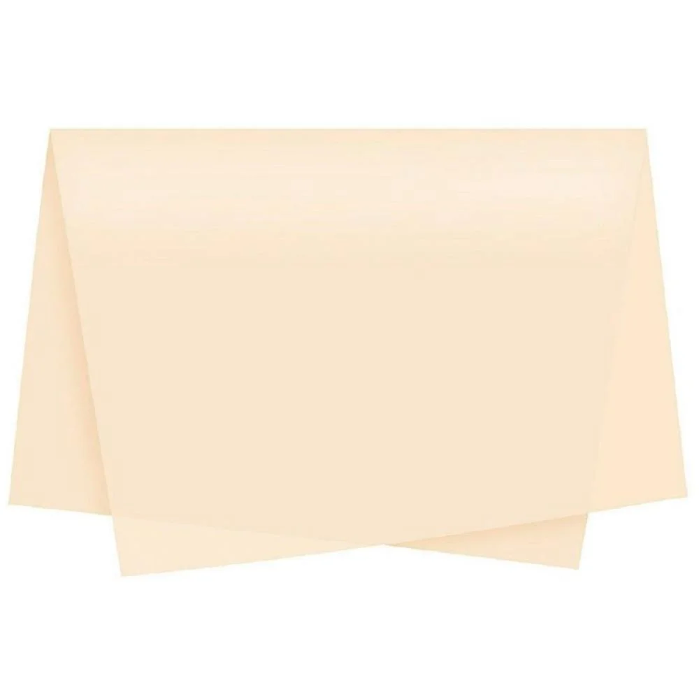 Poli Sujinho Liso 49X69Cm Creme Xingo Embalagens (Pct.c/50) - imagem 2