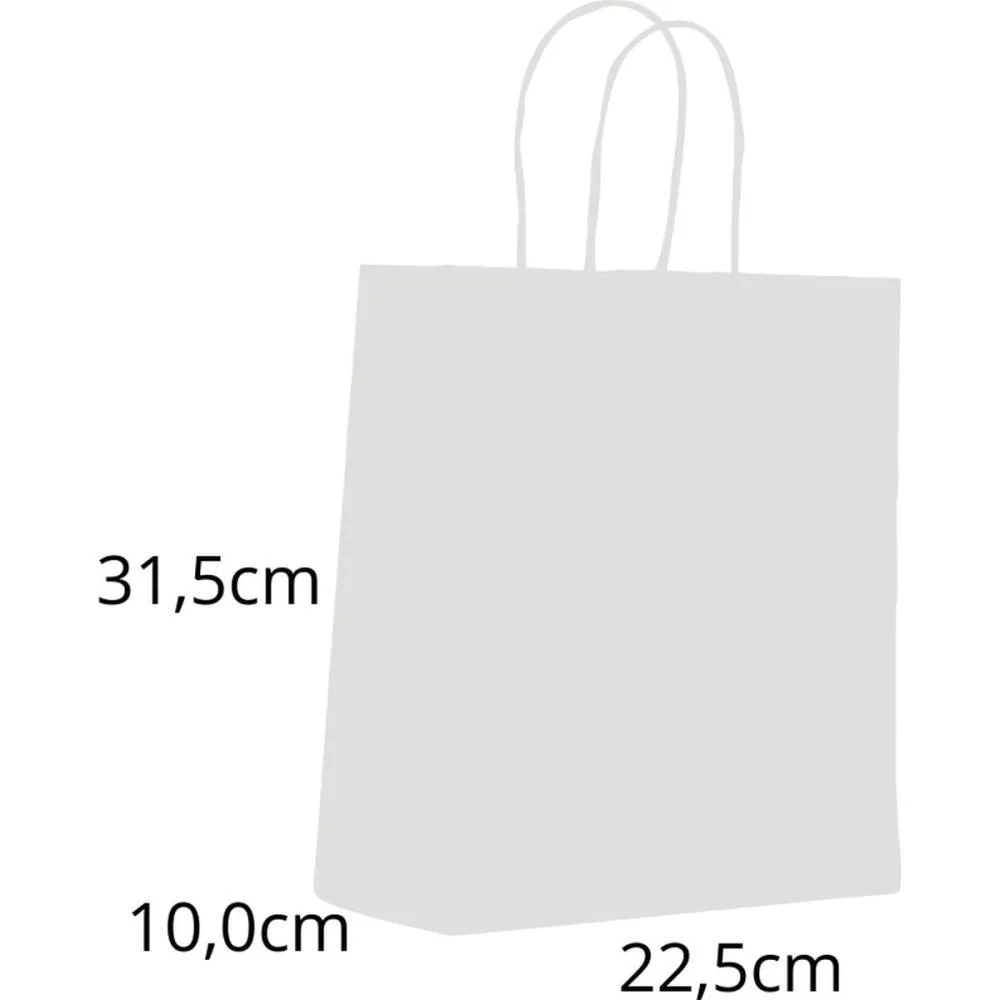 Sacola Para Presente Lisa Branca M 22,5X31,5X10Cm Scrity (Pct.c/10) - imagem 3