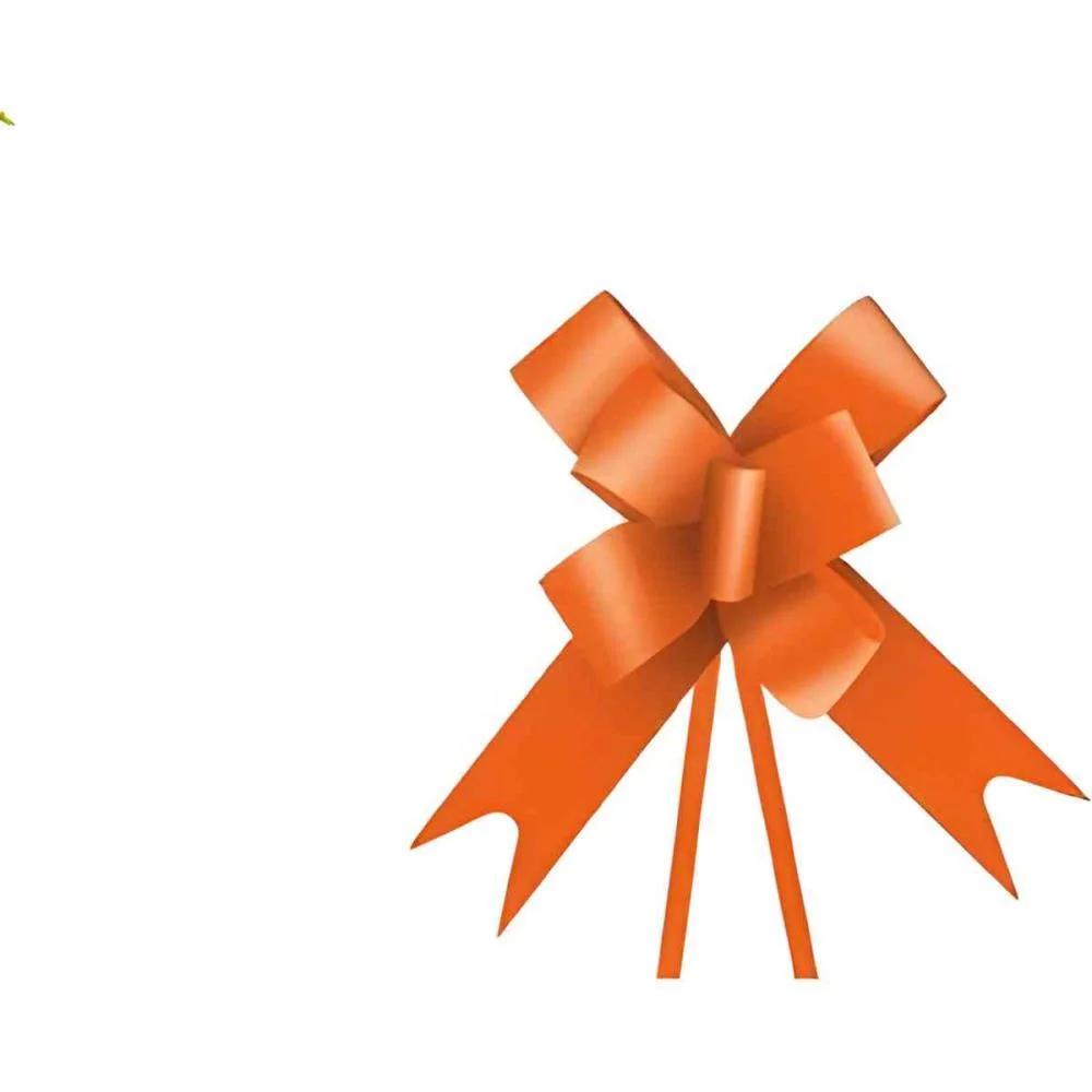 Laco Pronto Liso 30X50Cm Laranja Xingo Embalagens (Pct.c/10) - imagem 3