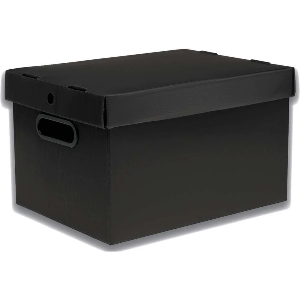 Caixa Organizadora Prontobox Preto 310X230X190 Pq Polycart - imagem 2