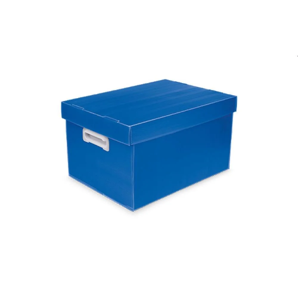 Caixa Organizadora The Best Box M 370X280X212 Az Polibras - imagem 4