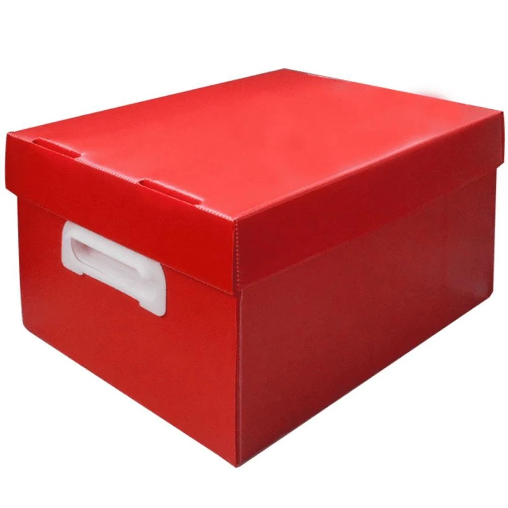 Caixa Organizadora The Best Box M 370X280X212 Vm Polibras - imagem 4