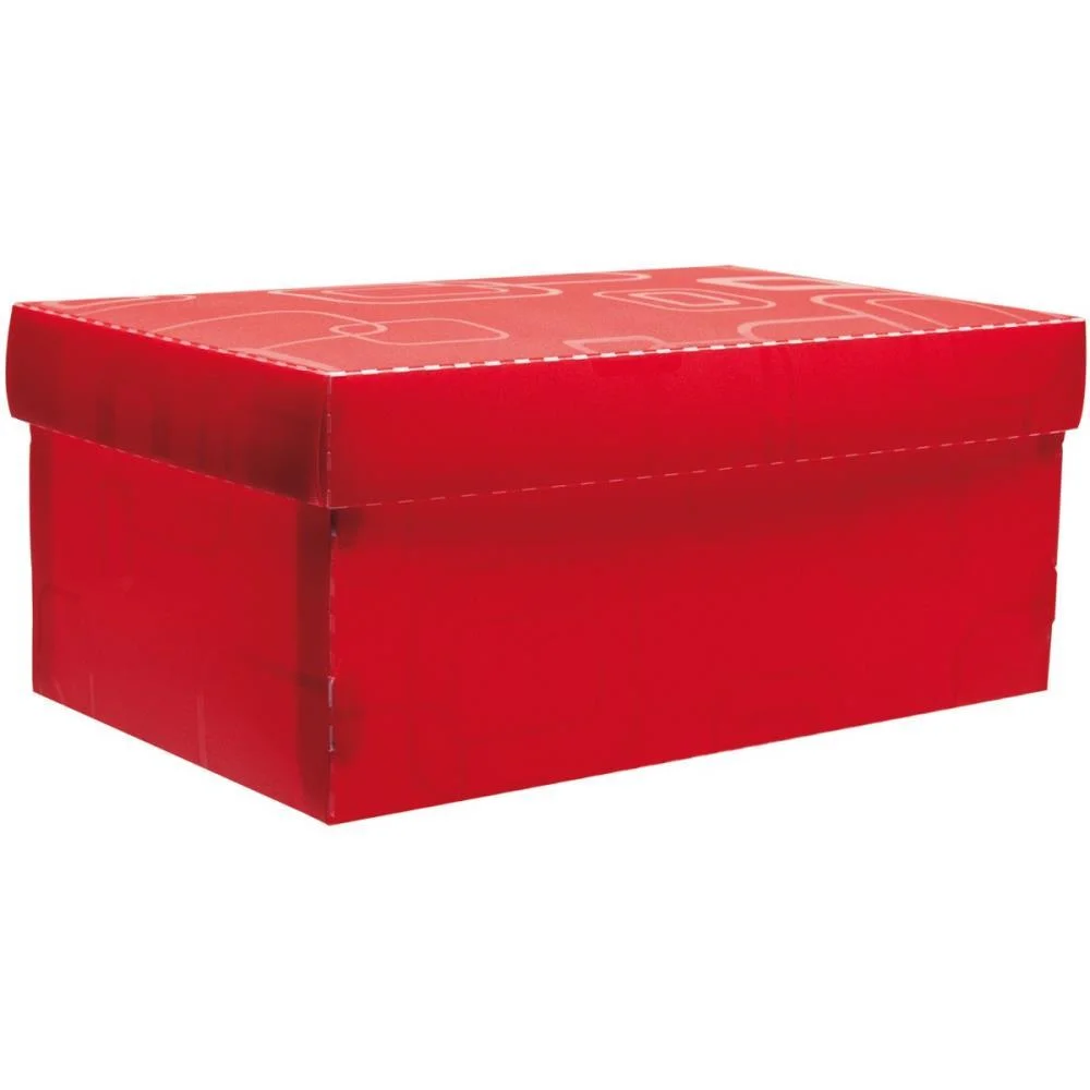 Caixa Organizadora Top Fine Sapato 28X17X12Cm.vm Dello - imagem 3