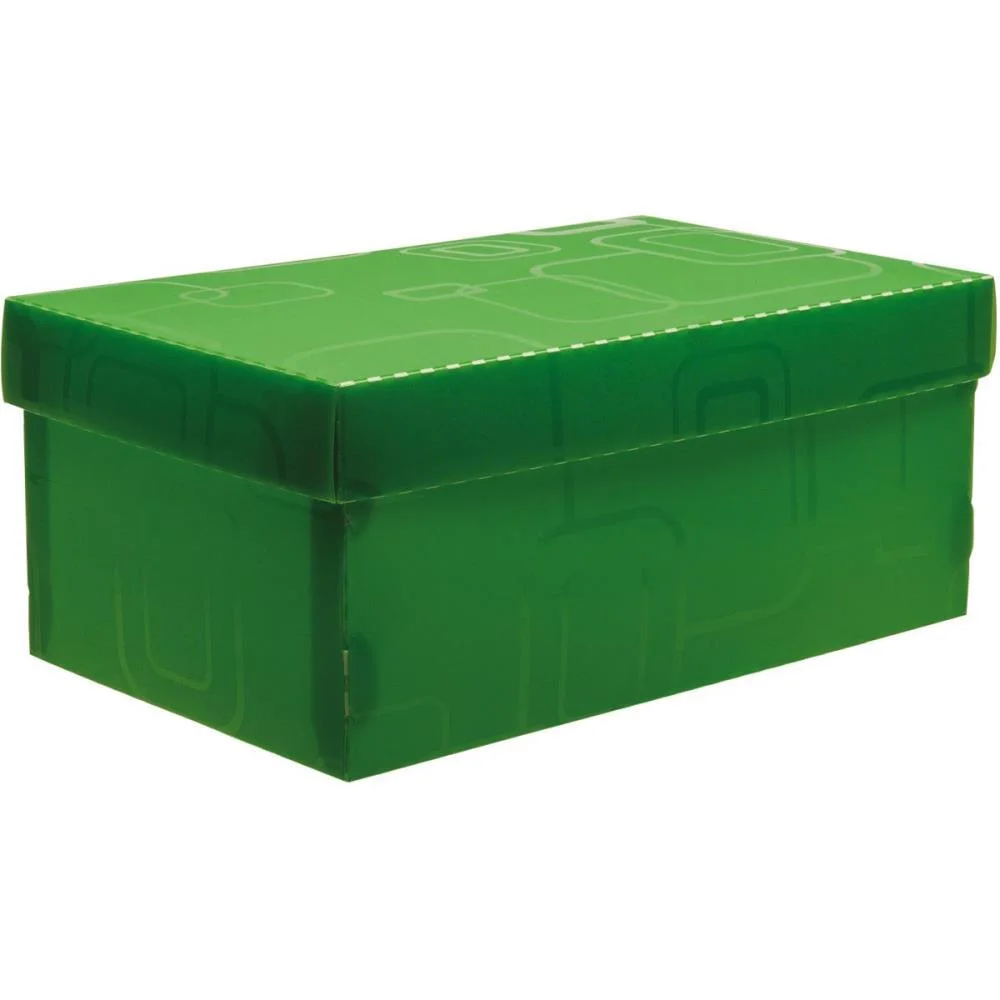 Caixa Organizadora Top Line Sapato 28X17X12Cm.vd Dello - imagem 2