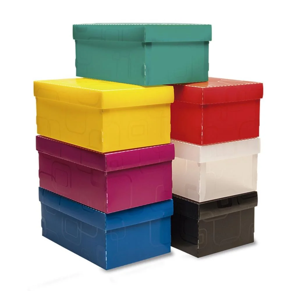 Caixa Organizadora Top Line Sapato 28X17X12Cm.vd Dello - imagem 4